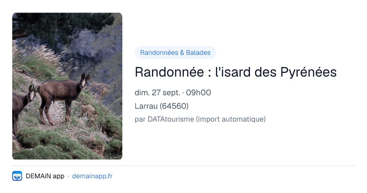 Randonnée : l'isard des Pyrénées — Larrau