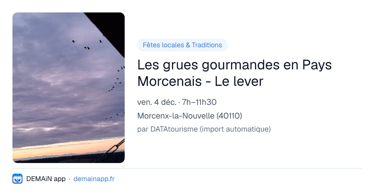 Les grues gourmandes en Pays Morcenais - Le lever — Morcenx-la-Nouvelle