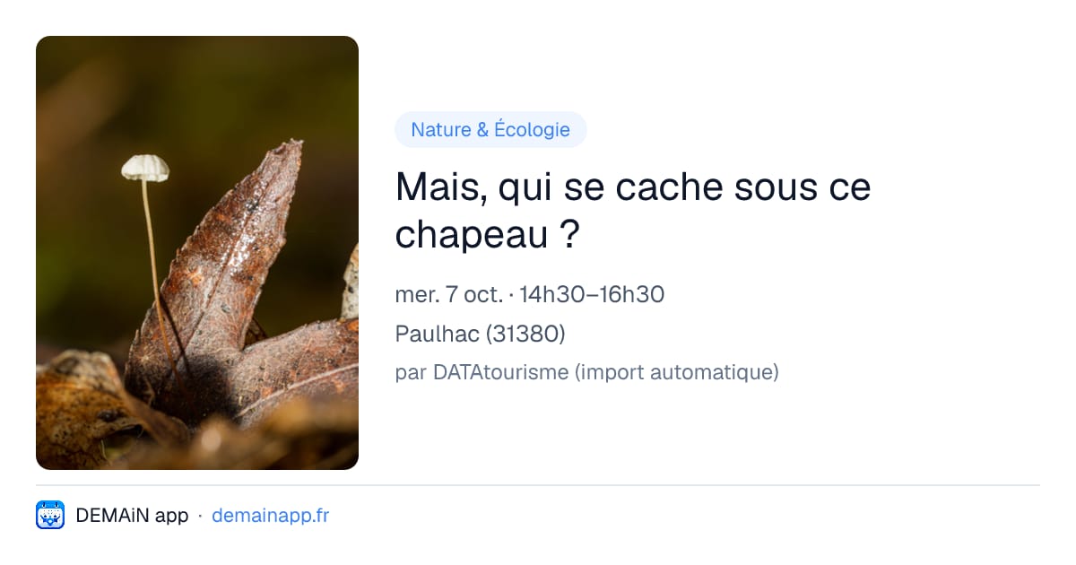 Mais, qui se cache sous ce chapeau ? — Paulhac