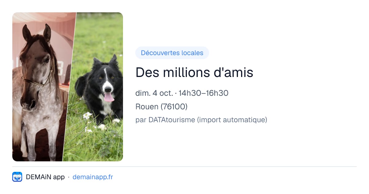 Des millions d'amis — Rouen