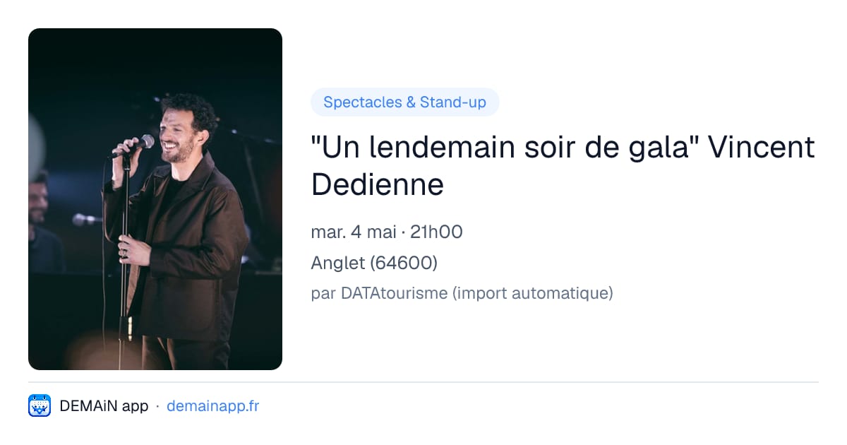 "Un lendemain soir de gala" Vincent Dedienne — Anglet