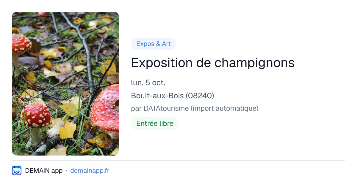 Exposition de champignons — Boult-aux-Bois