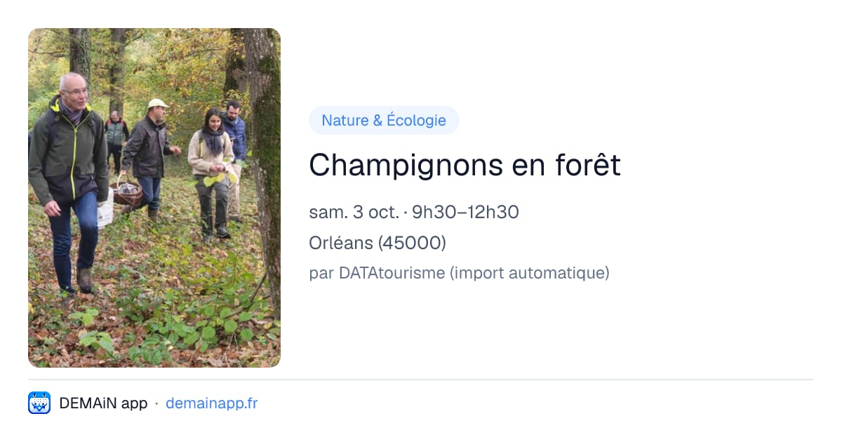 Champignons en forêt — Orléans