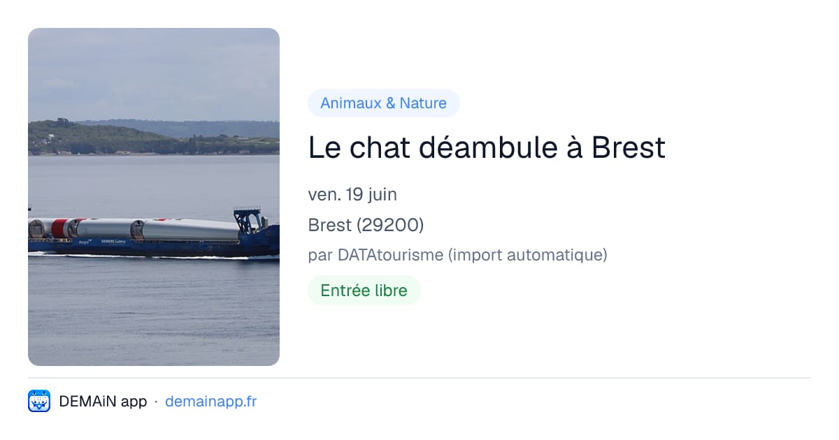 Le chat déambule à Brest — Brest