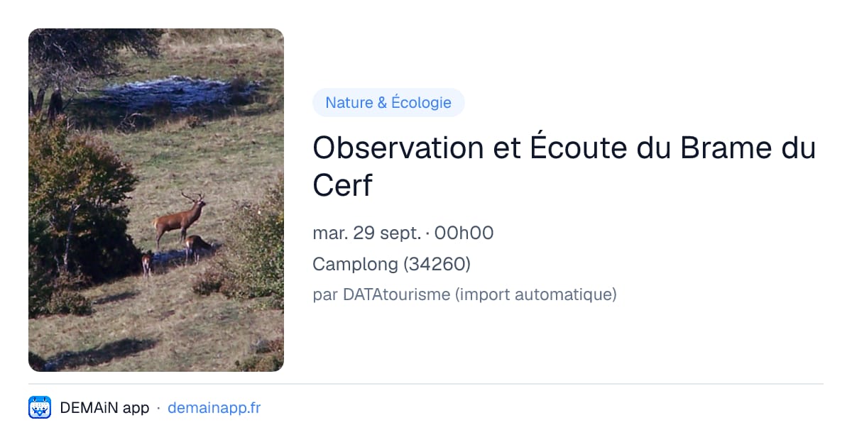 Observation et Écoute du Brame du Cerf — Camplong
