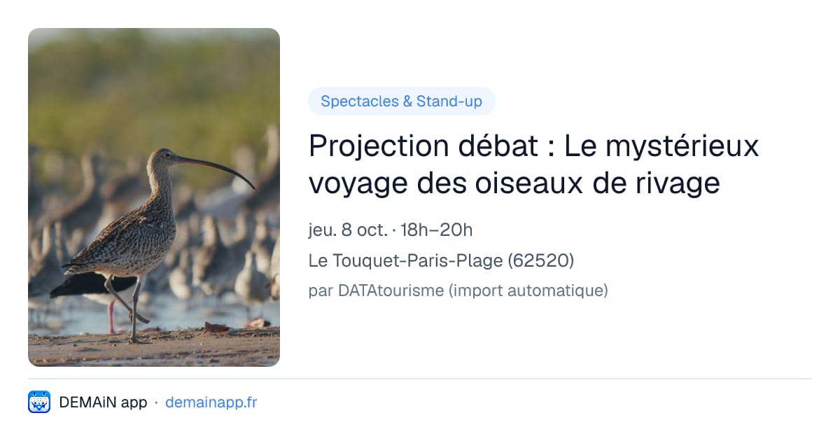 Projection débat : Le mystérieux voyage des oiseaux de rivage — Le Touquet-Paris-Plage