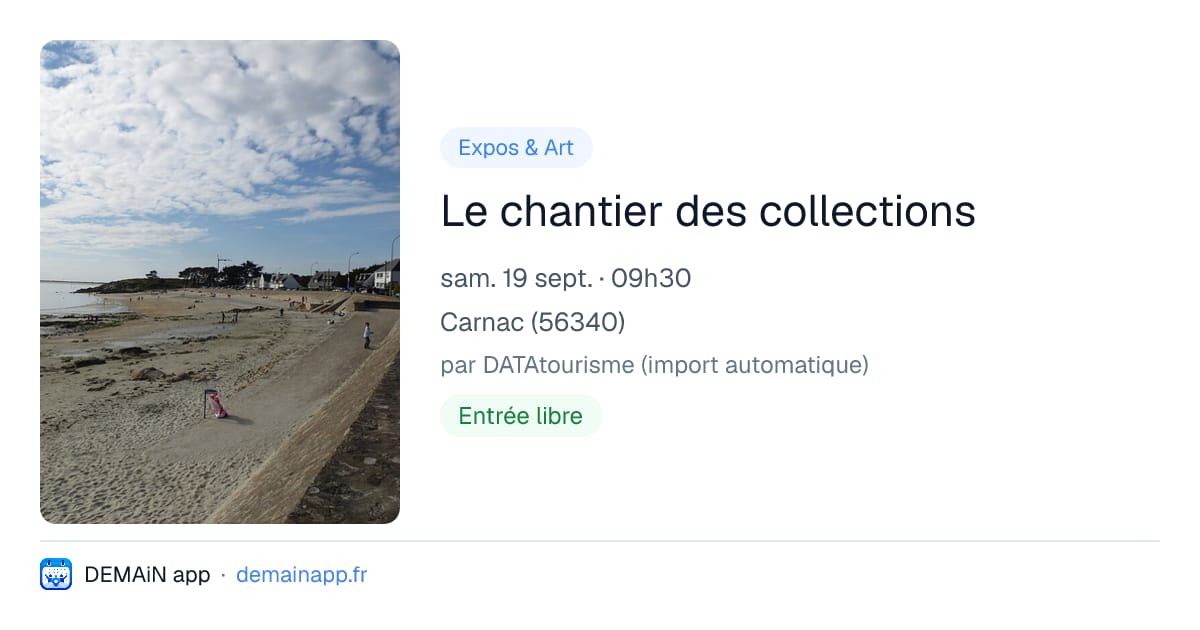Le chantier des collections — Carnac