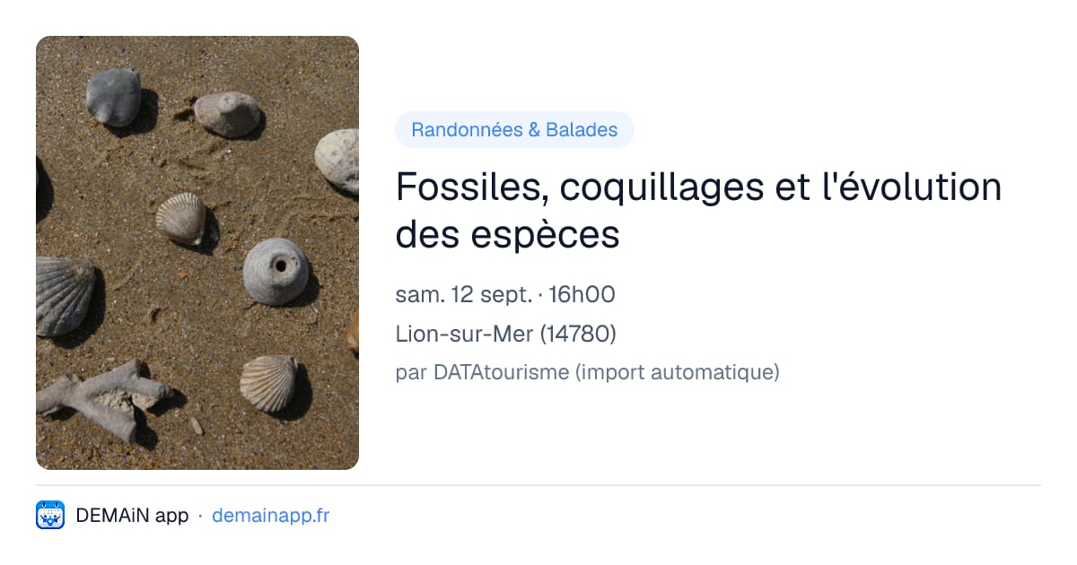 Fossiles, coquillages et l'évolution des espèces — Lion-sur-Mer