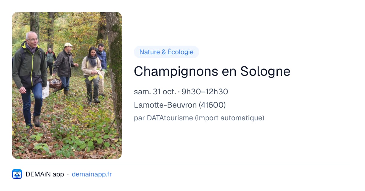 Champignons en Sologne — Lamotte-Beuvron