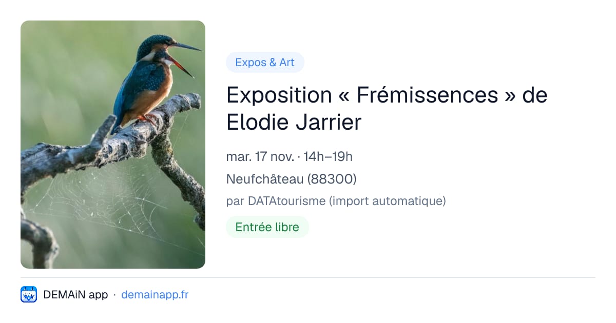Exposition « Frémissences » de Elodie Jarrier — Neufchâteau
