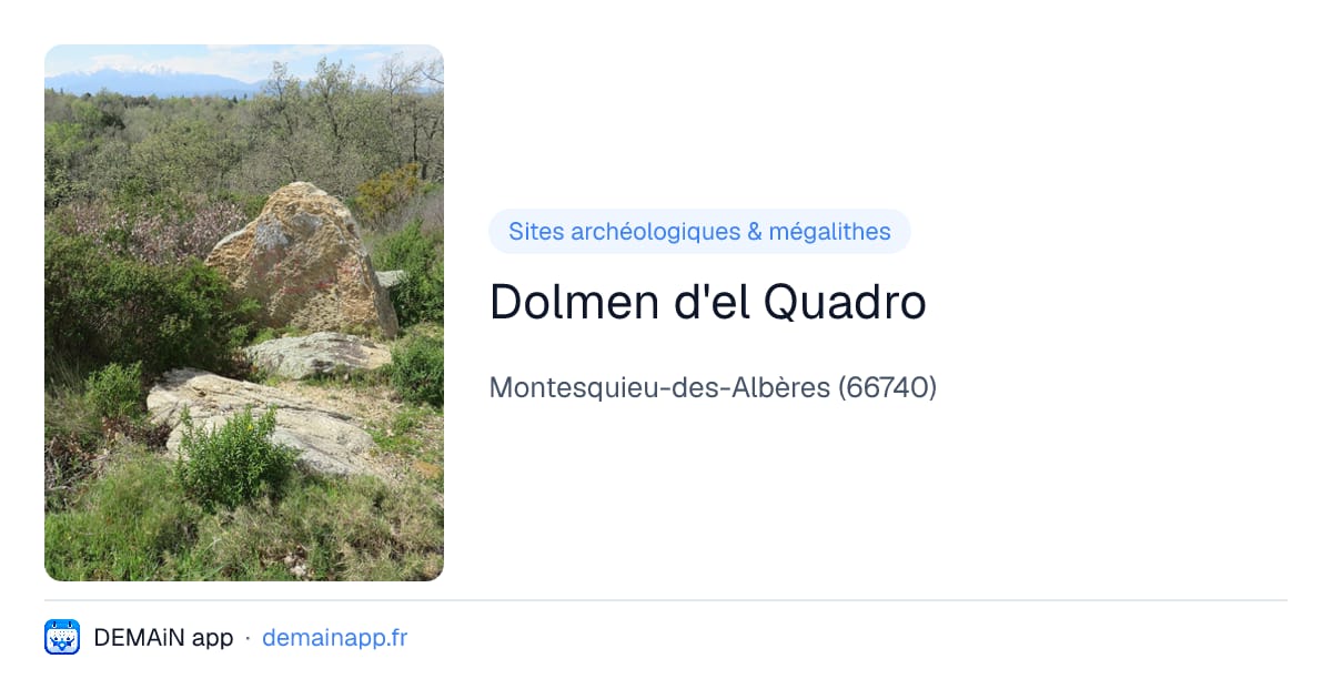 Dolmen d'el Quadro — Montesquieu-des-Albères
