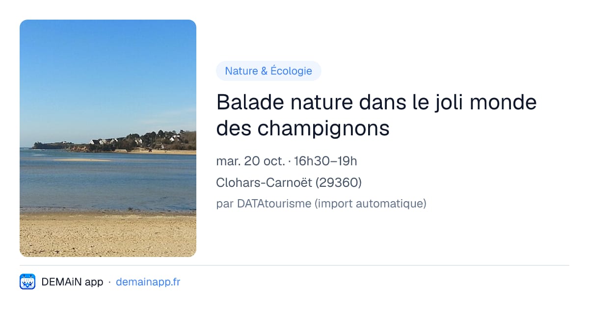 Balade nature dans le joli monde des champignons — Clohars-Carnoët
