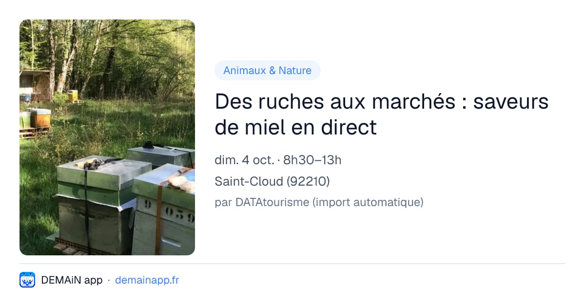 Des ruches aux marchés : saveurs de miel en direct — Saint-Cloud