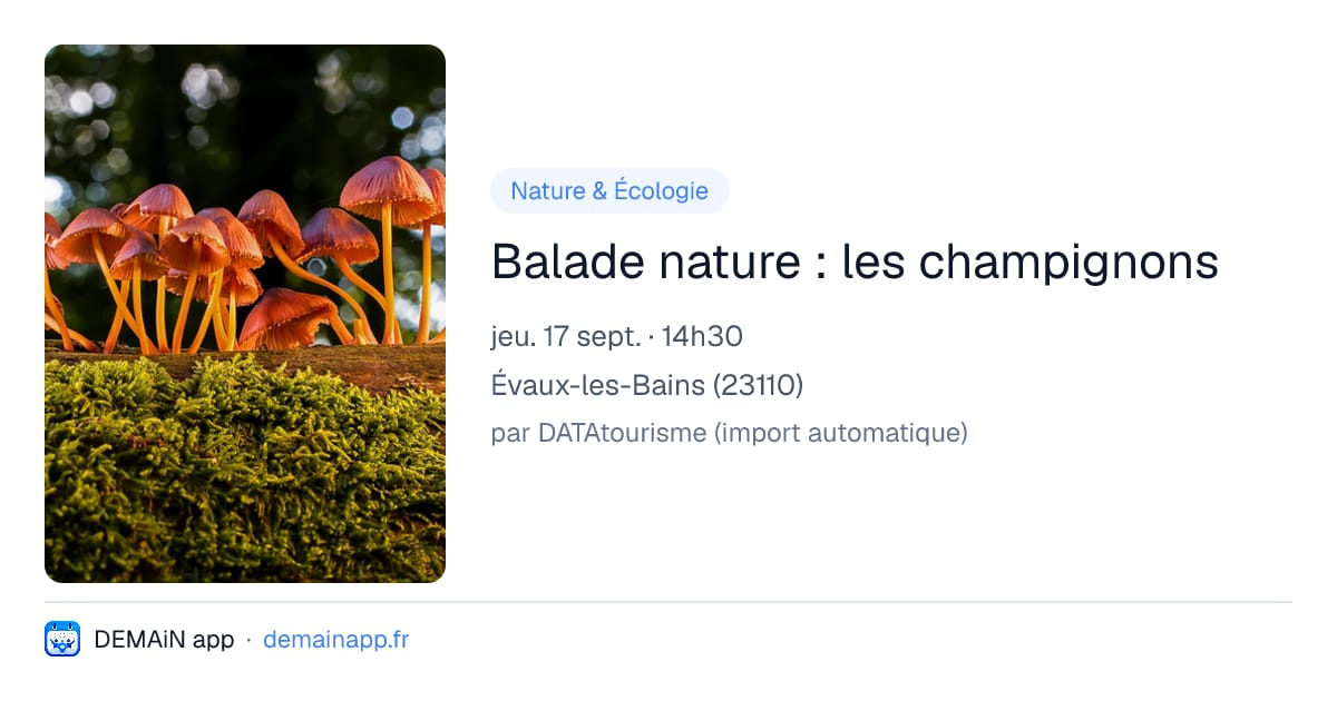 Balade nature : les champignons — Évaux-les-Bains