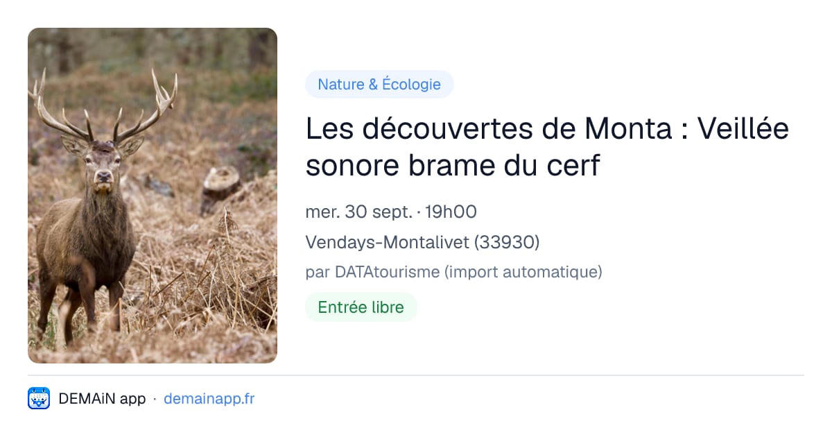 Les découvertes de Monta : Veillée sonore brame du cerf — Vendays-Montalivet
