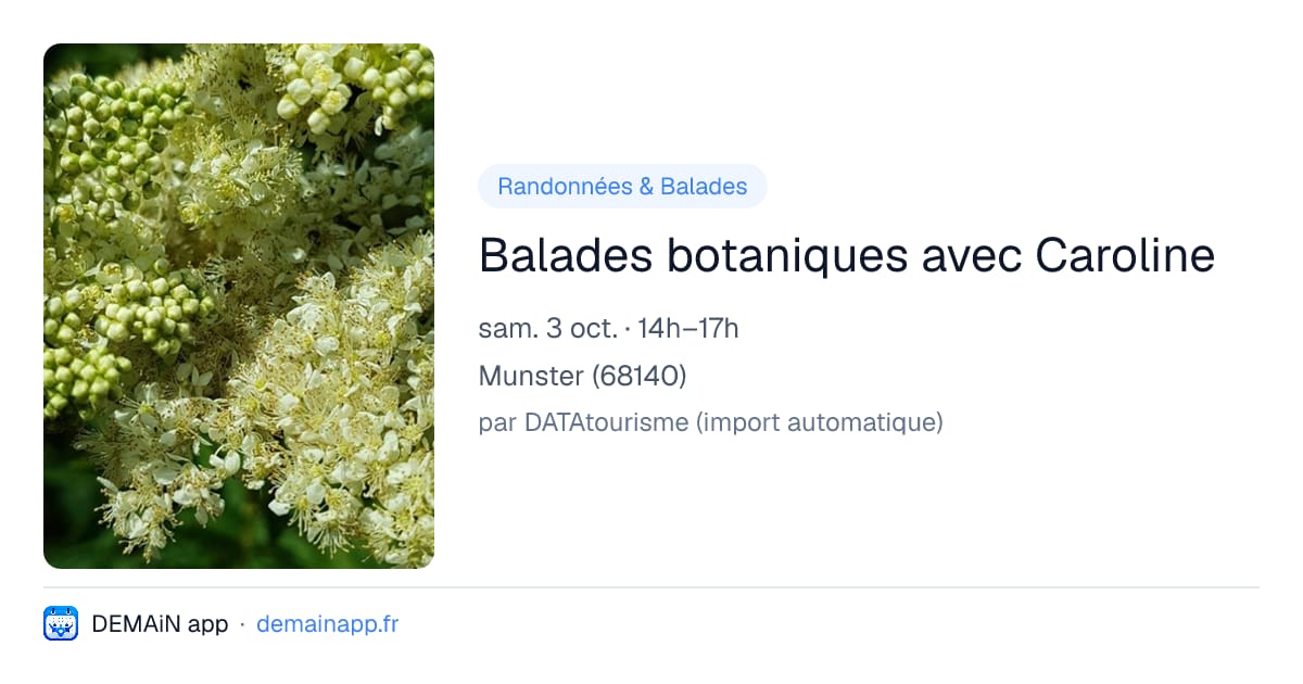 Balades botaniques avec Caroline — Munster