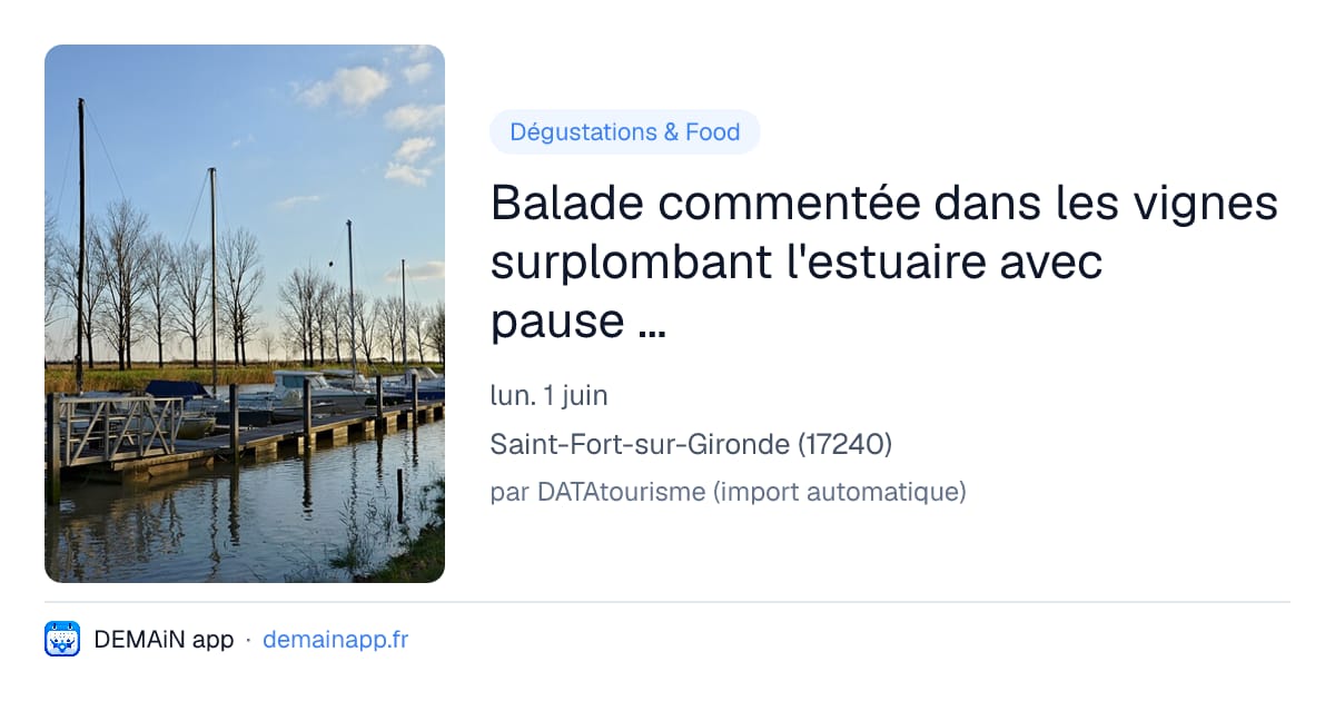 Balade commentée dans les vignes surplombant l'estuaire avec pause dégustation — Saint-Fort-sur-Gironde