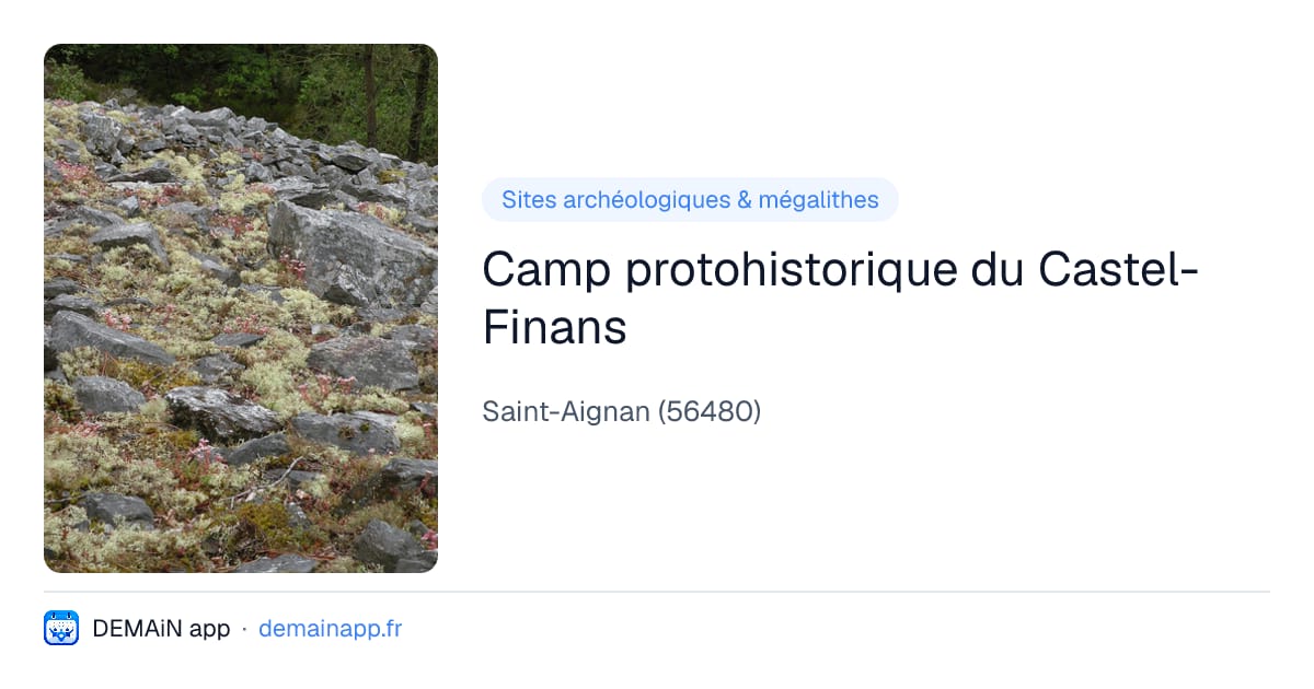 Camp protohistorique du Castel-Finans — Saint-Aignan