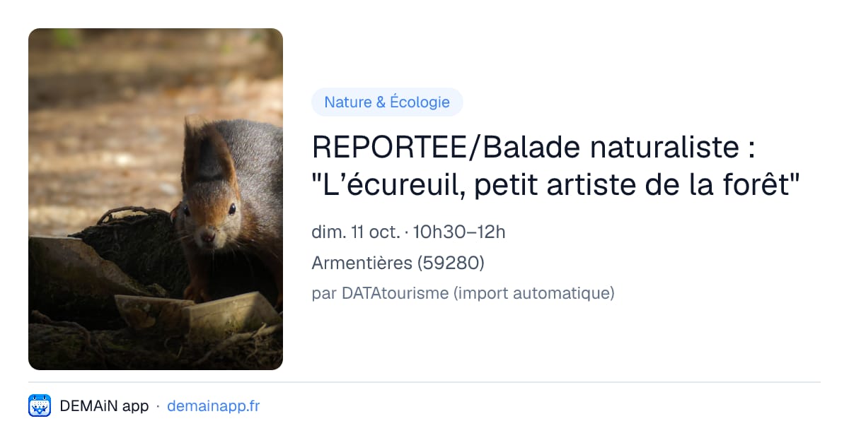 REPORTEE/Balade naturaliste : "L’écureuil, petit artiste de la forêt" — Armentières