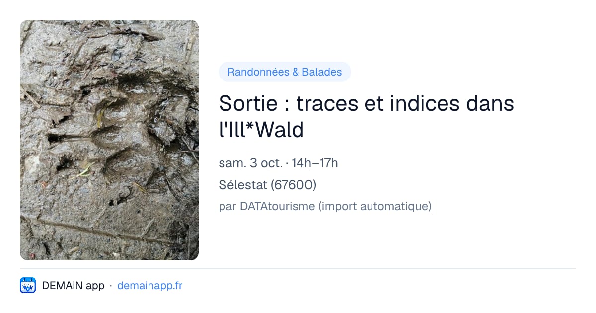 Sortie : traces et indices dans l'Ill*Wald — Sélestat