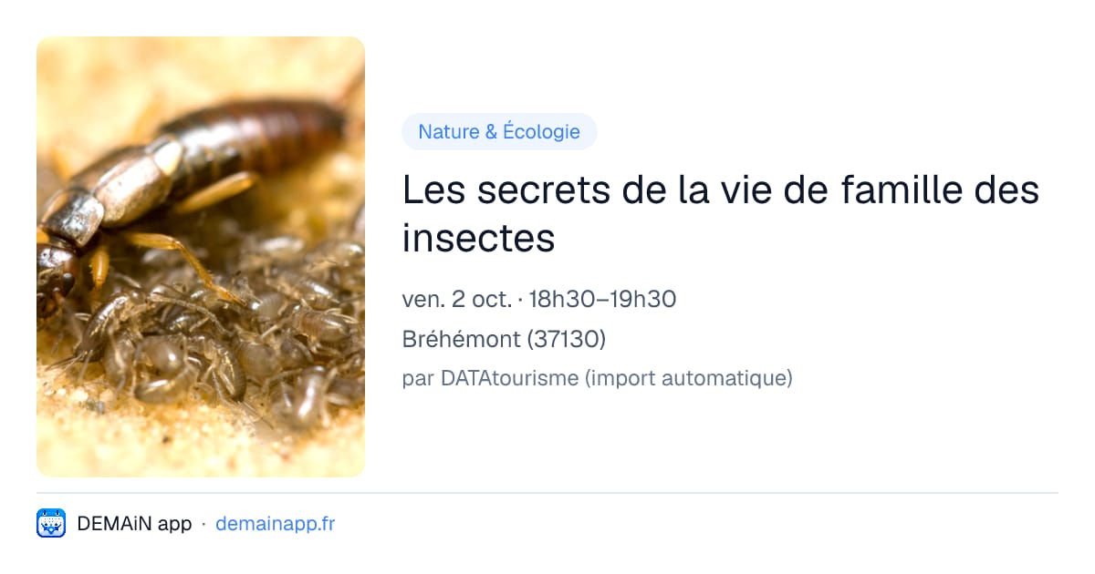 Les secrets de la vie de famille des insectes — Bréhémont