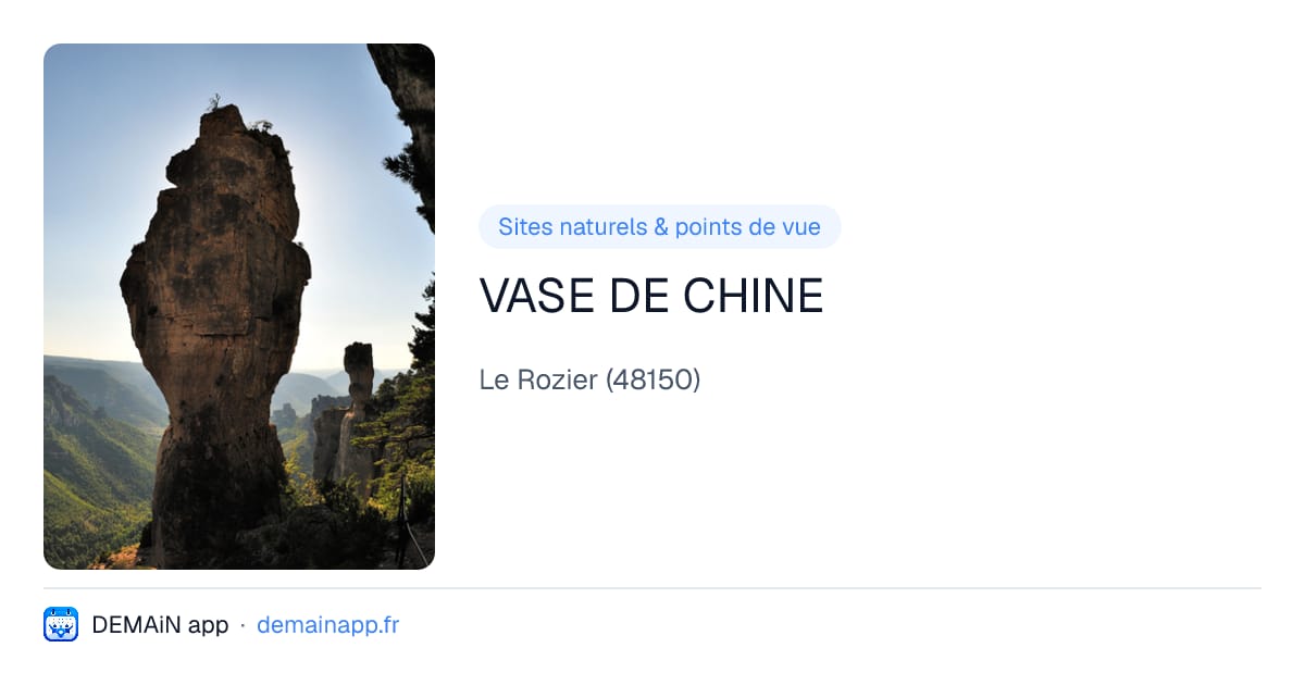 VASE DE CHINE — Le Rozier