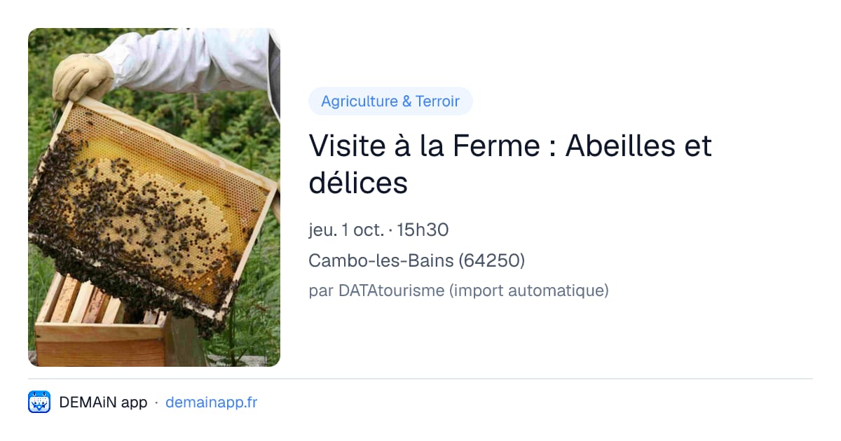 Visite à la Ferme : Abeilles et délices — Cambo-les-Bains