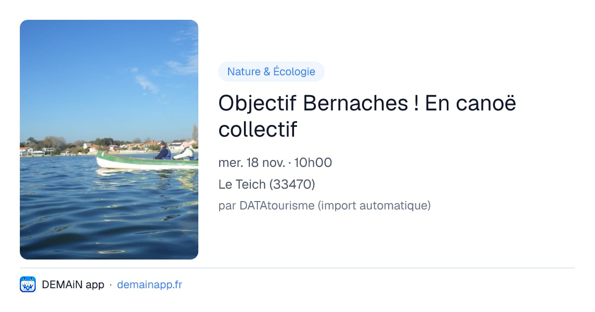 Objectif Bernaches ! En canoë collectif — Le Teich
