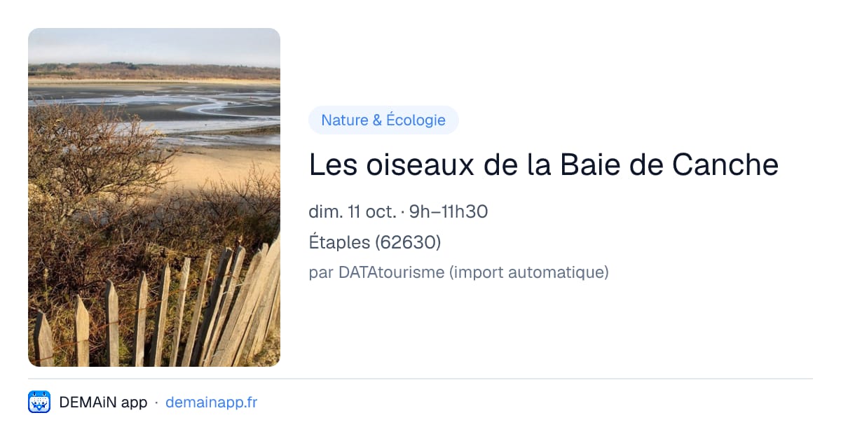 Les oiseaux de la Baie de Canche — Étaples
