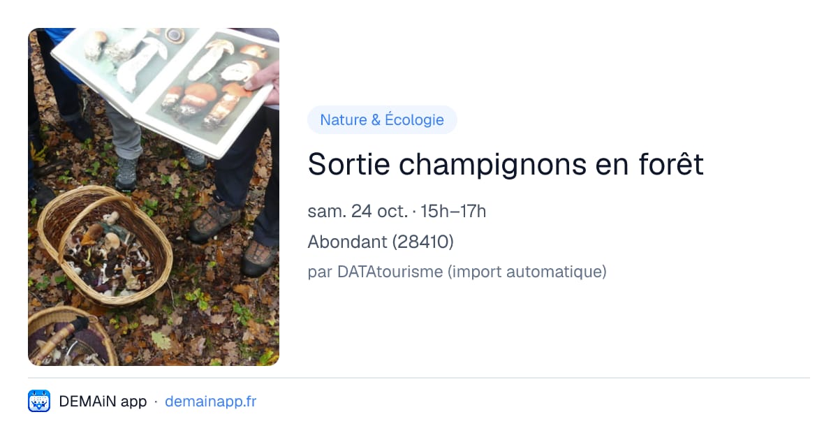 Sortie champignons en forêt — Abondant