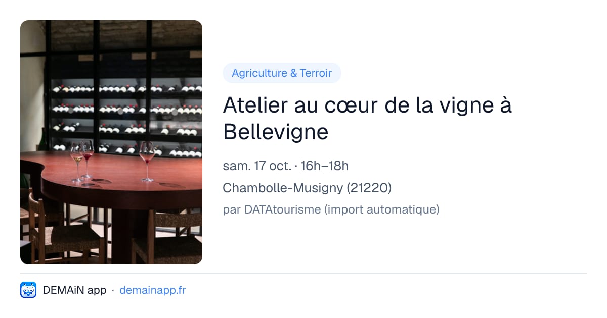 Atelier au cœur de la vigne à Bellevigne — Chambolle-Musigny