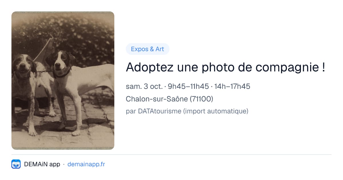 Adoptez une photo de compagnie ! — Chalon-sur-Saône