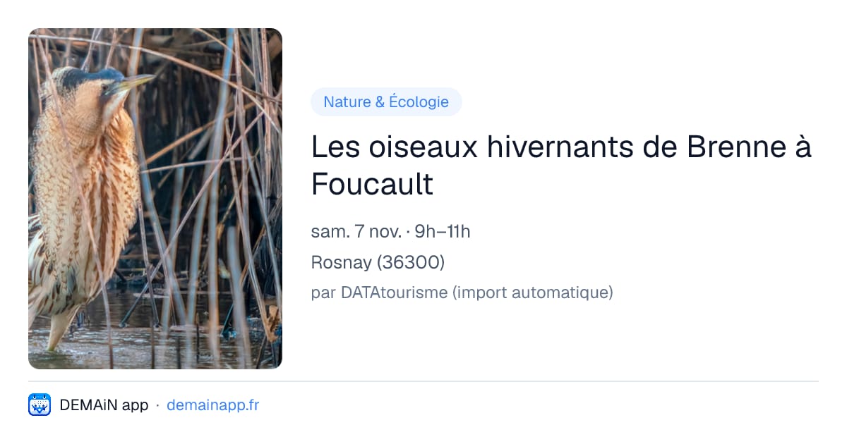 Les oiseaux hivernants de Brenne à Foucault — Rosnay