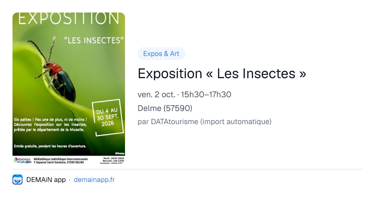 Exposition « Les Insectes » — Delme