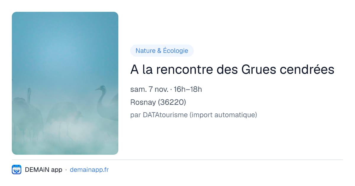 A la rencontre des Grues cendrées — Rosnay