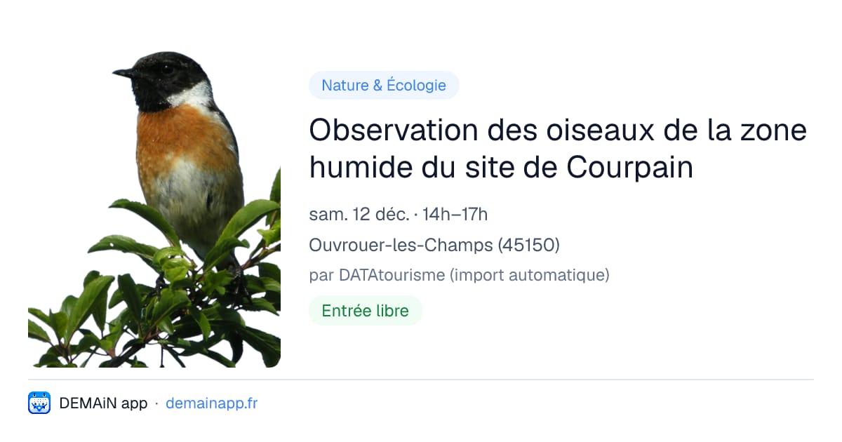 Observation des oiseaux de la zone humide du site de Courpain — Ouvrouer-les-Champs