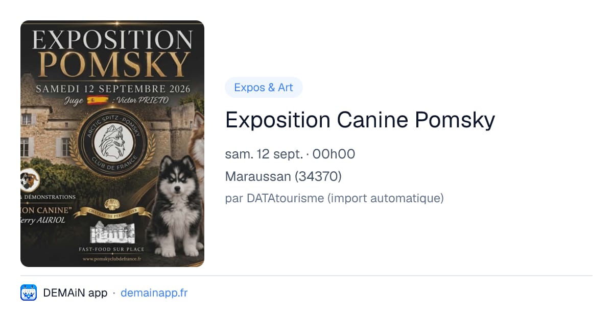 Exposition Canine Pomsky — Maraussan