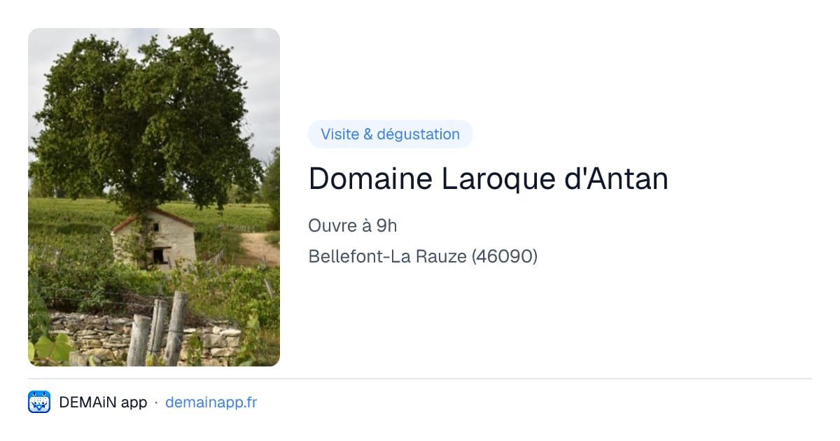 Domaine Laroque d'Antan — Bellefont-La Rauze