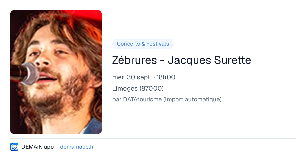 Zébrures - Jacques Surette — Limoges