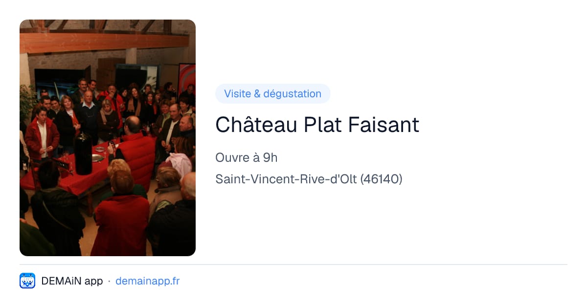 Château Plat Faisant — Saint-Vincent-Rive-d'Olt