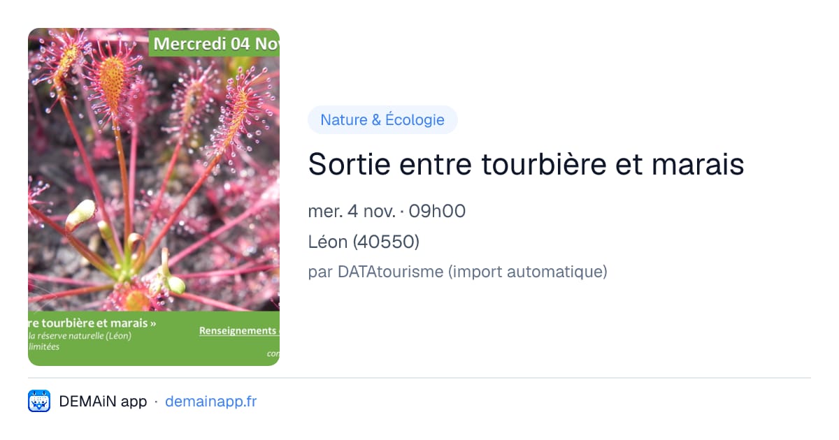 Sortie entre tourbière et marais — Léon