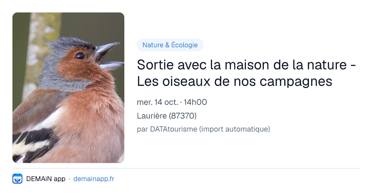Sortie avec la maison de la nature - Les oiseaux de nos campagnes — Laurière