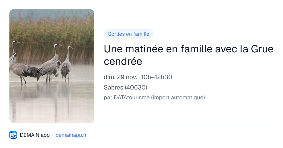 Une matinée en famille avec la Grue cendrée — Sabres