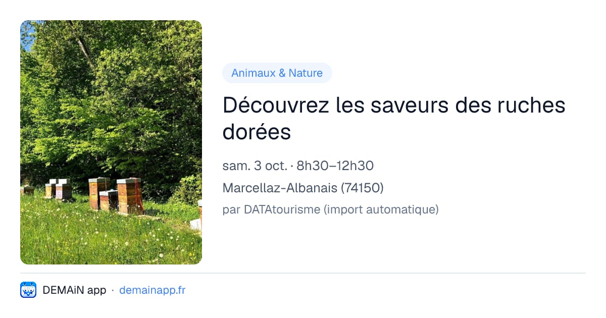 Découvrez les saveurs des ruches dorées — Marcellaz-Albanais