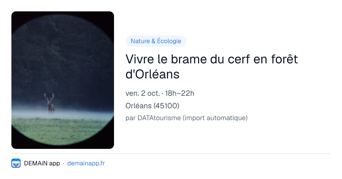 Vivre le brame du cerf en forêt d'Orléans — Orléans