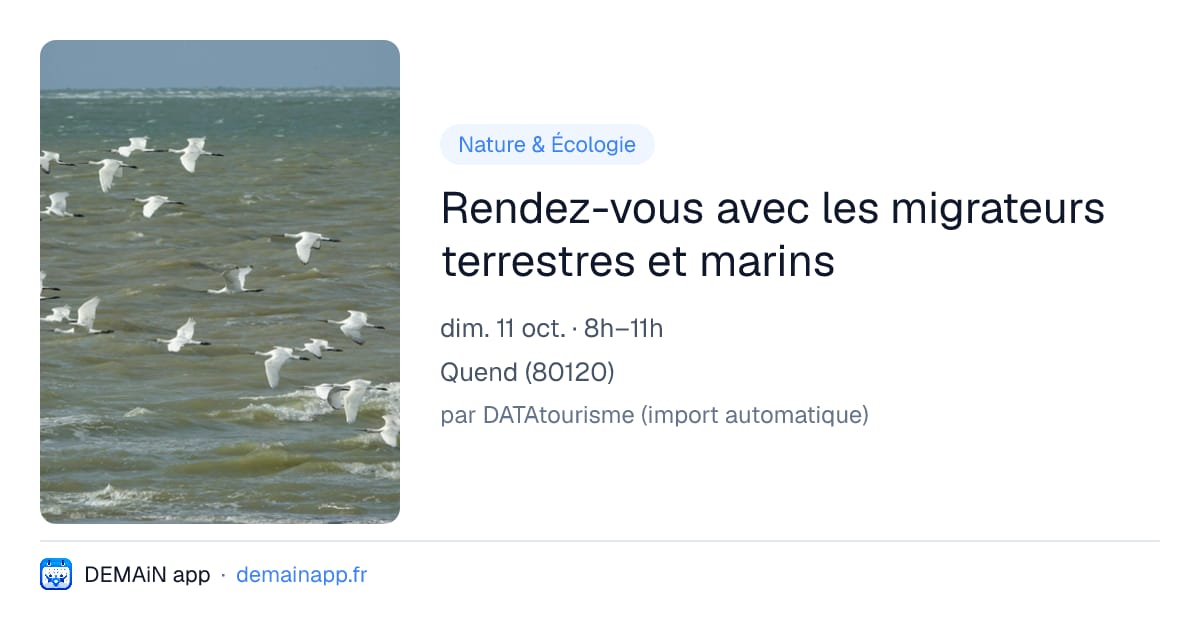 Rendez-vous avec les migrateurs terrestres et marins — Quend