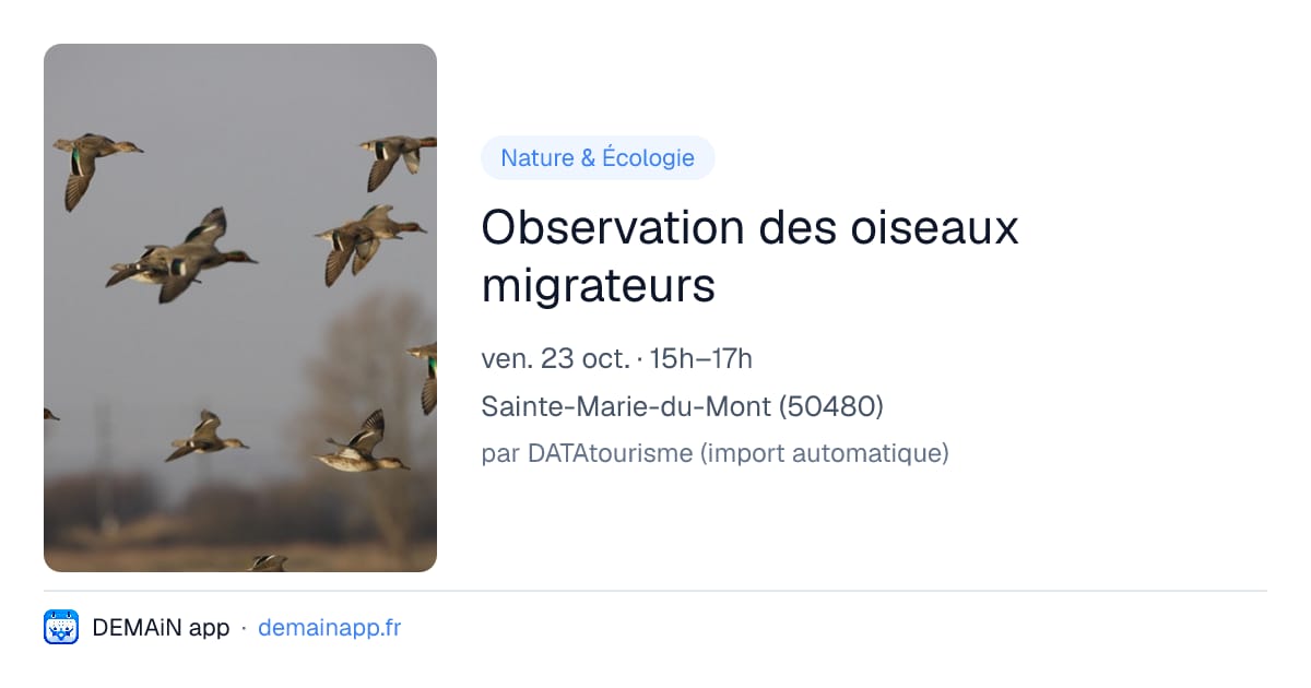 Observation des oiseaux migrateurs — Sainte-Marie-du-Mont