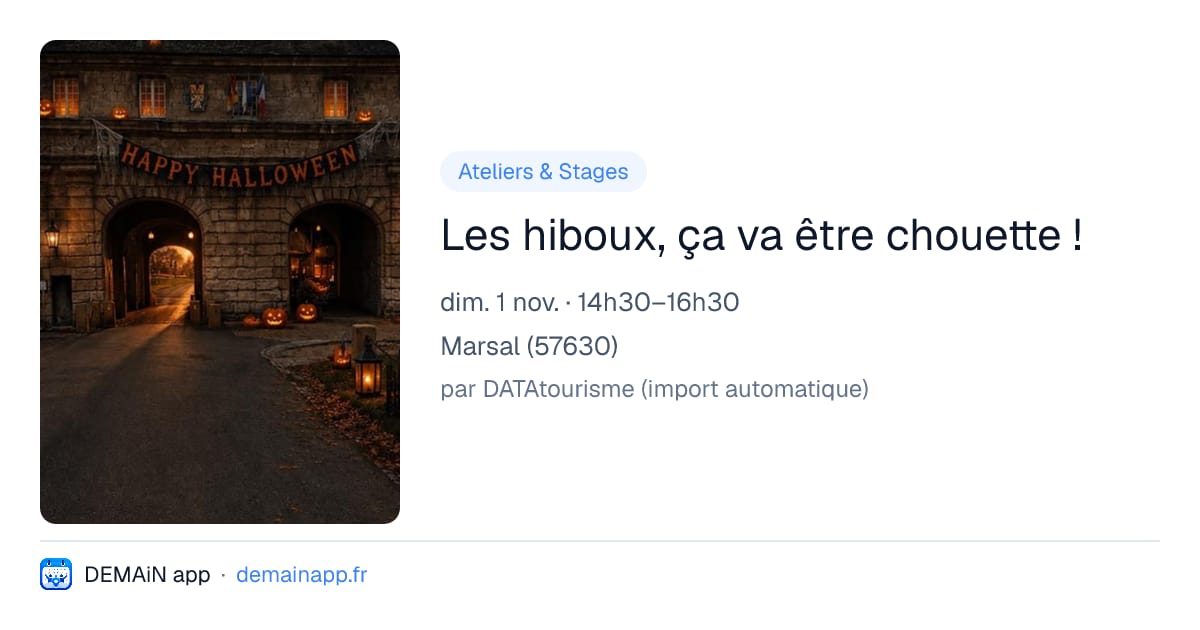 Les hiboux, ça va être chouette ! — Marsal
