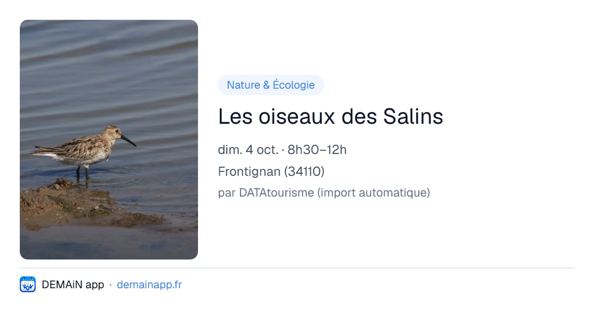 Les oiseaux des Salins — Frontignan