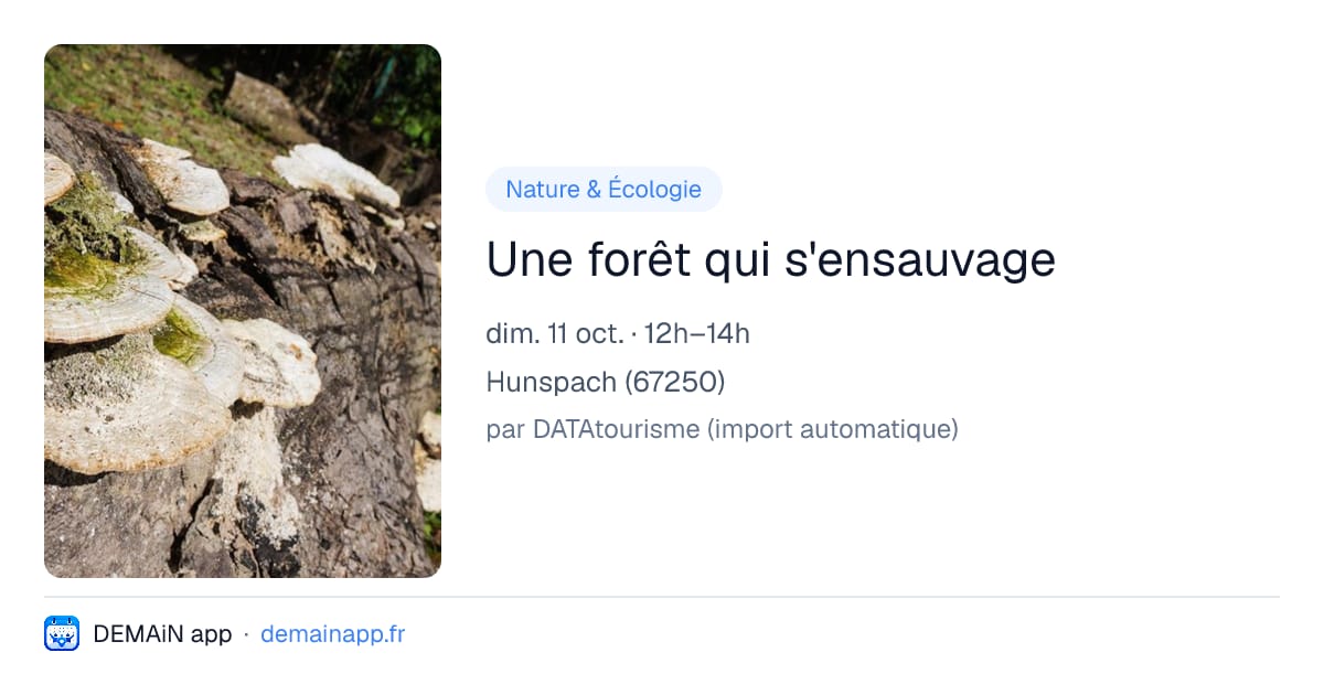 Une forêt qui s'ensauvage — Hunspach